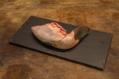 49_ox_tongue